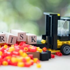 Ocena tveganja v glavnih značilnostih