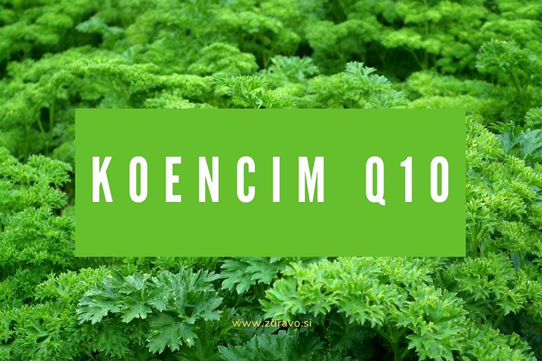 koencim q10