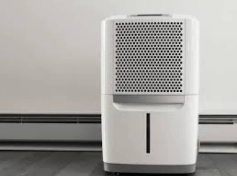 najem razvlažilca (2)